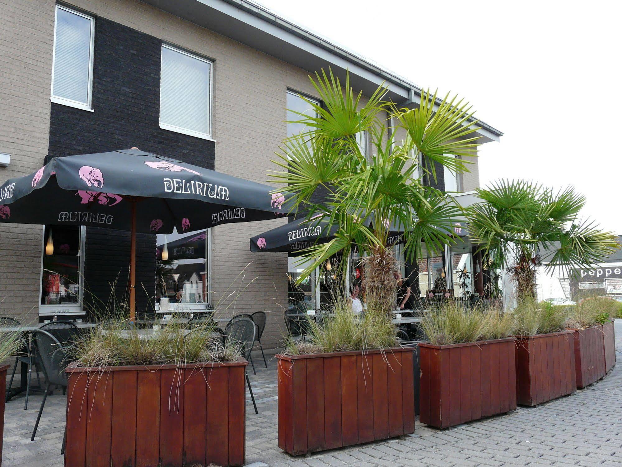Otus Hotel